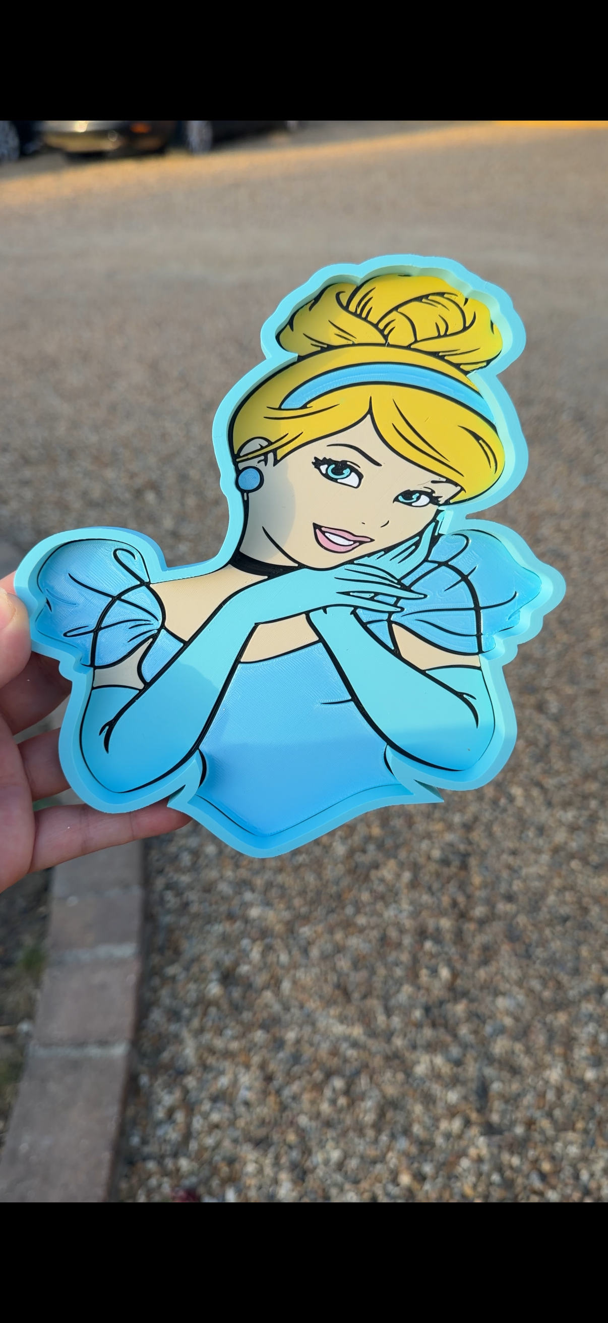 Cinderella large tray