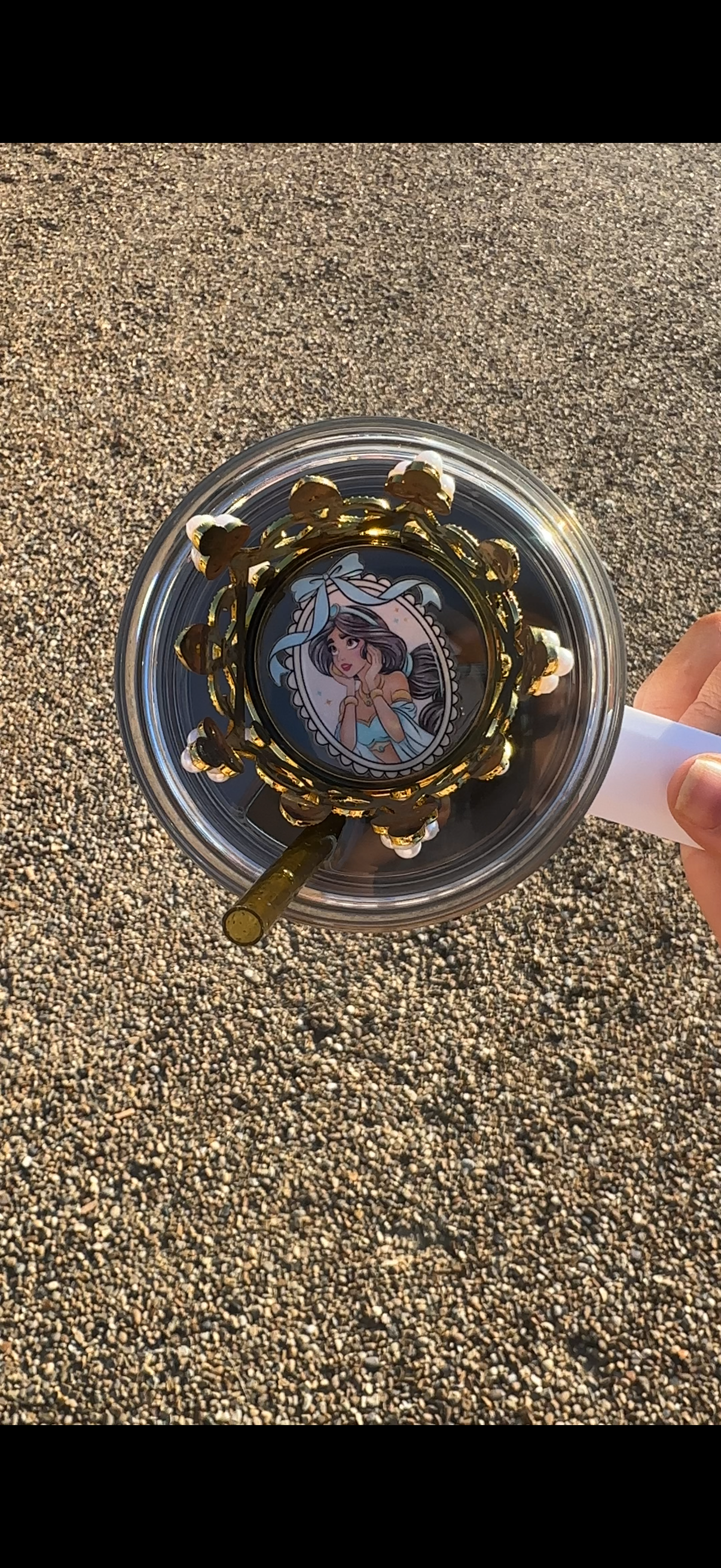 Jasmine Aladdin 40oz tumbler