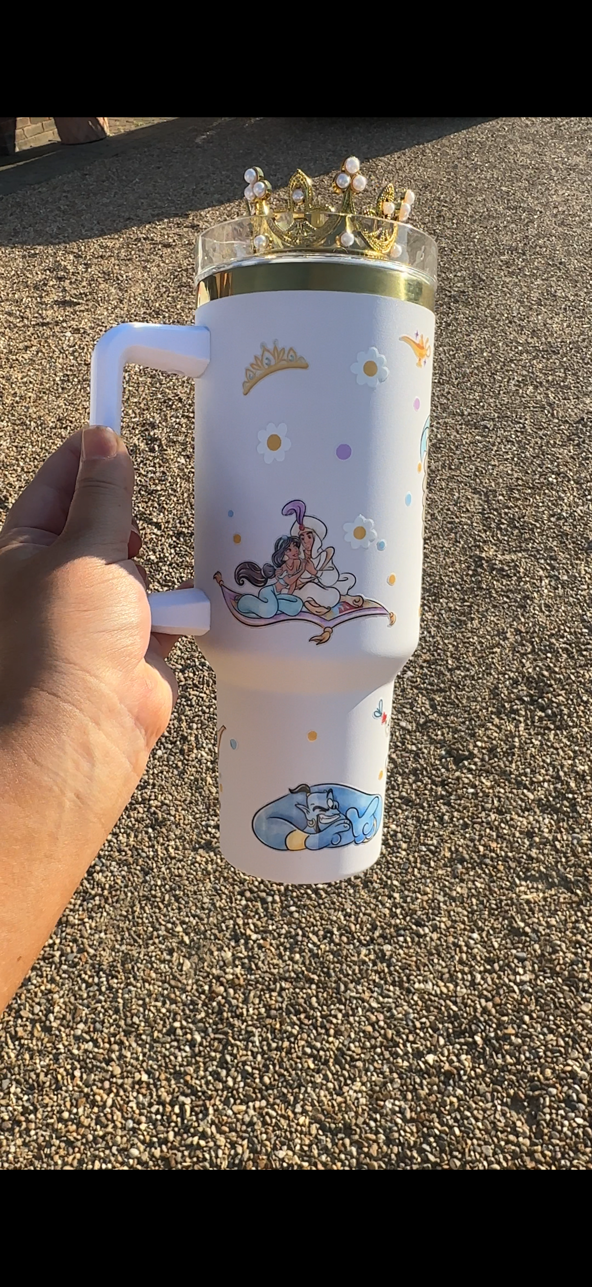 Jasmine Aladdin 40oz tumbler