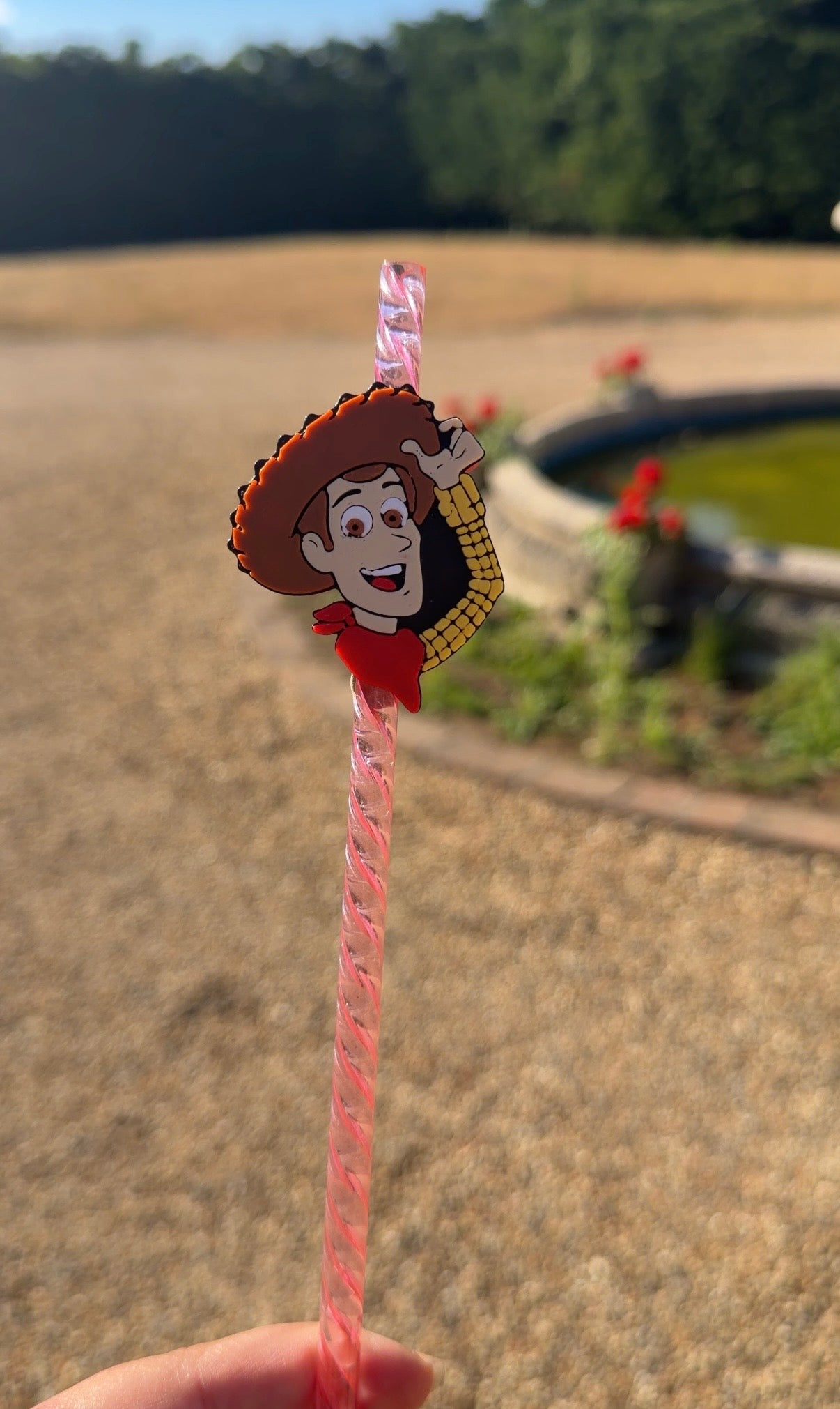 Woody straw topper